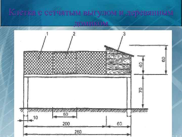 Клетка с сетчатым выгулом и деревянным домиком 