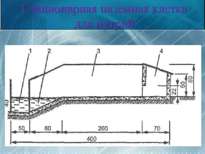 Стационарная наземная клетка для нутрий 