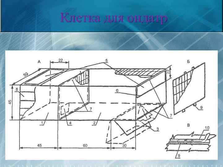 Клетка для ондатр 