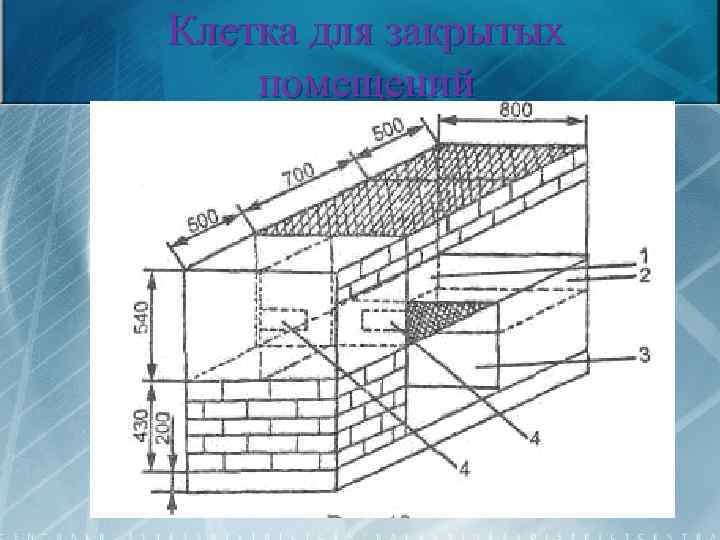 Клетка для закрытых помещений 