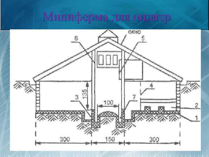 Миниферма для ондатр 