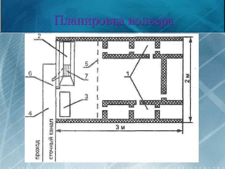 Планировка вольера 