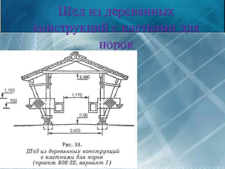 Шед из деревянных конструкций с клетками для норок 