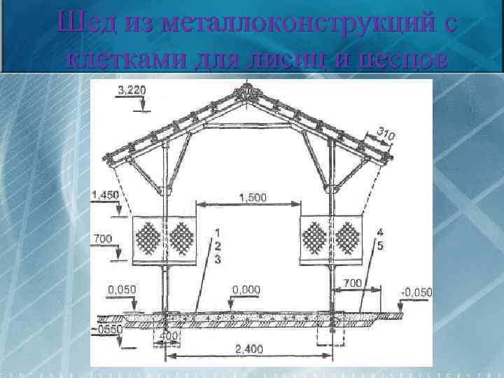 Шед из металлоконструкций с клетками для лисиц и песцов 