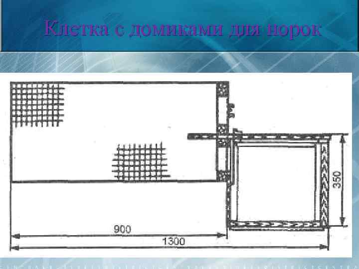 Клетка с домиками для норок 