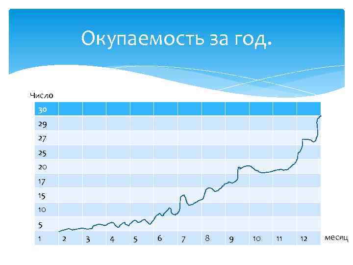 Окупаемость за год. Число 30 29 27 25 20 17 15 10 5 1