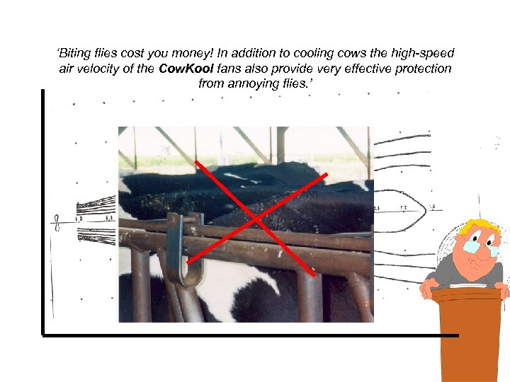 ‘Biting flies cost you money! In addition to cooling cows the high-speed air velocity