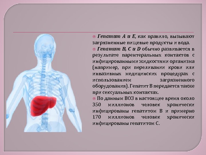 Гепатит А и Е, как правило, вызывают загрязненные пищевые продукты и вода. Гепатит В,