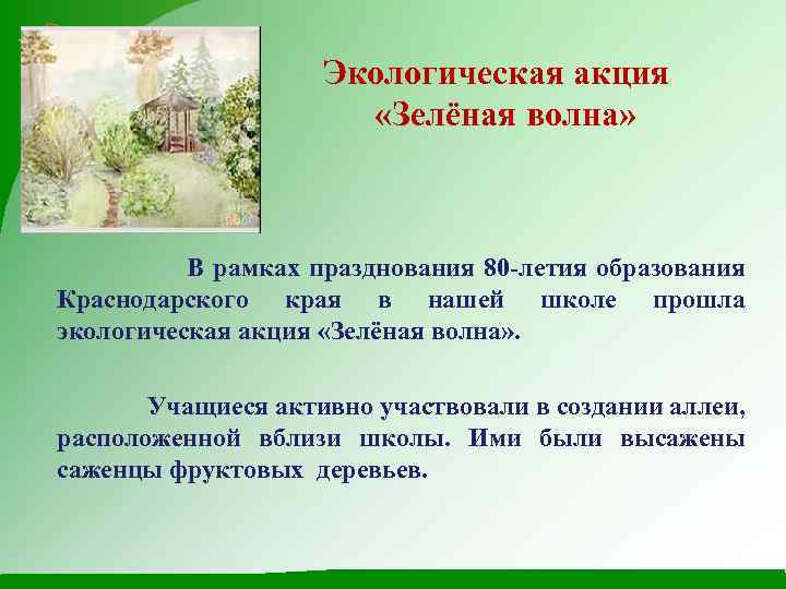 Экологическая акция «Зелёная волна» В рамках празднования 80 -летия образования Краснодарского края в нашей