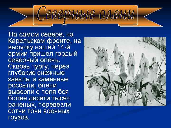 На самом севере, на Карельском фронте, на выручку нашей 14 -й армии пришел гордый