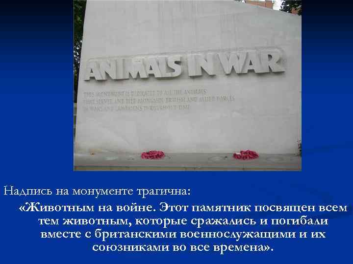 Надпись на монументе трагична: «Животным на войне. Этот памятник посвящен всем тем животным, которые