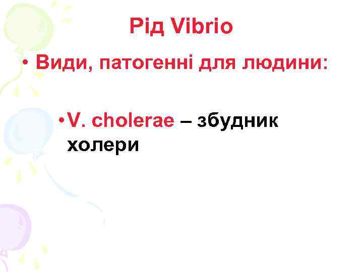 Рід Vibrio • Види, патогенні для людини: • V. cholerae – збудник холери 