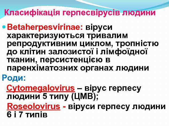Класифікація герпесвірусів людини Betaherpesvirinae: віруси характеризуються тривалим репродуктивним циклом, тропністю до клітин залозистої і