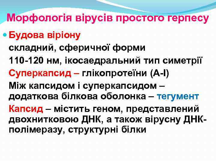 Морфологія вірусів простого герпесу Будова віріону складний, сферичної форми 110 -120 нм, ікосаедральний тип