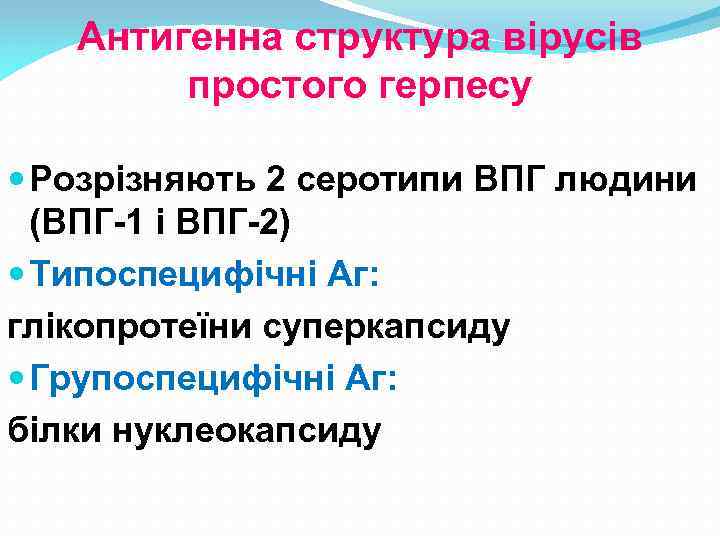 Антигенна структура вірусів простого герпесу Розрізняють 2 серотипи ВПГ людини (ВПГ-1 і ВПГ-2) Типоспецифічні