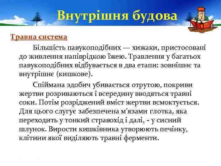 Внутрішня будова Травна система Більшість павукоподібних — хижаки, пристосовані до живлення напіврідкою їжею. Травлення