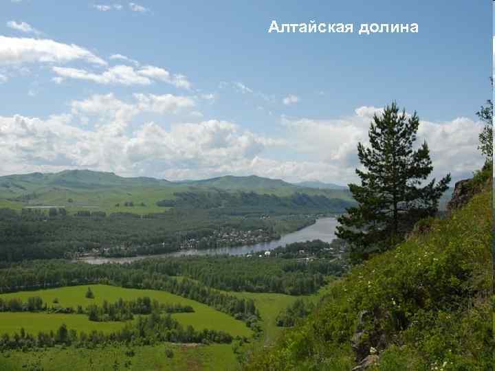 Алтайская долина 