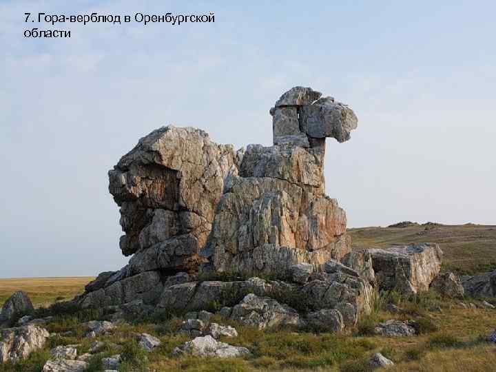 7. Гора-верблюд в Оренбургской области 