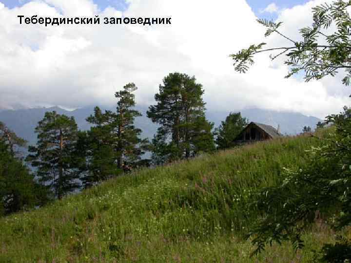 Тебердинский заповедник 