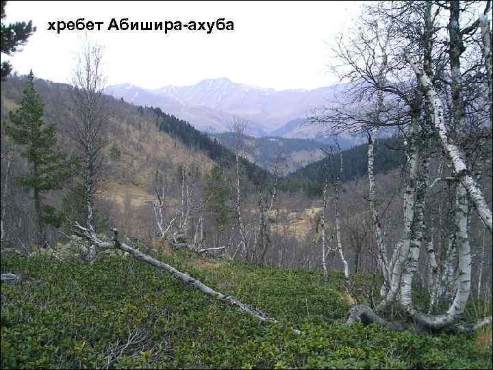 хребет Абишира-ахуба 