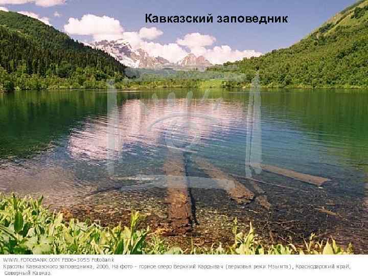 Кавказский заповедник 