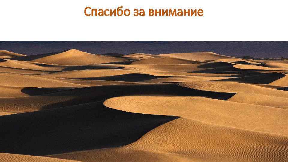 Спасибо за внимание 