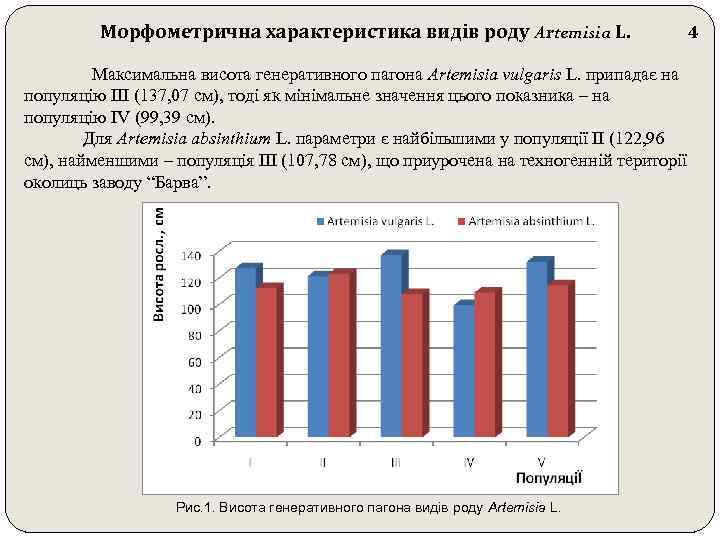 Морфометрична характеристика видів роду Artemisia L. Максимальна висота генеративного пагона Artemisia vulgaris L. припадає