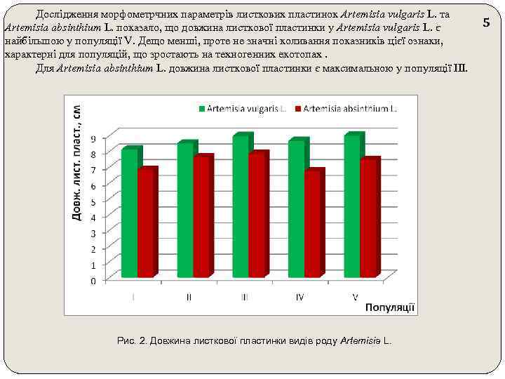 Дослідження морфометрчних параметрів листкових пластинок Artemisia vulgaris L. та Artemisia absinthium L. показало, що