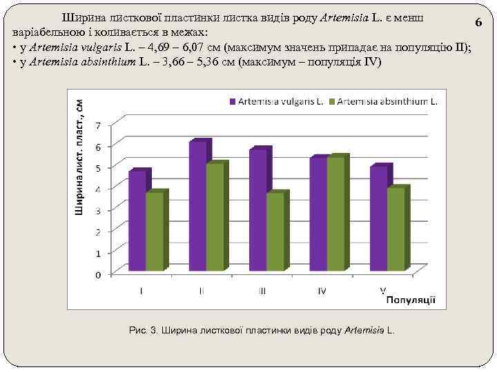 Ширина листкової пластинки листка видів роду Artemisia L. є менш 6 варіабельною і коливається