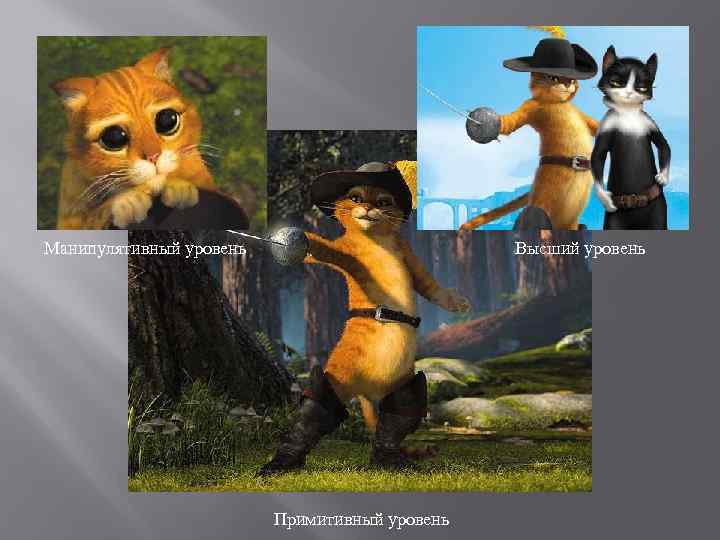 Манипулятивный уровень Высший уровень Примитивный уровень 