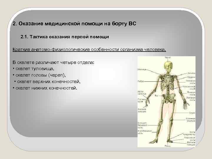 2. Оказание медицинской помощи на борту ВС 2. 1. Тактика оказания первой помощи Краткие