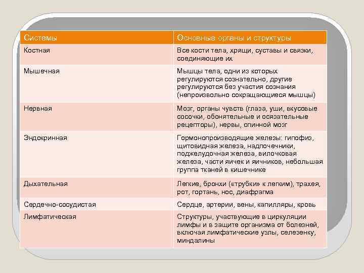 Системы Основные органы и структуры Костная Все кости тела, хрящи, суставы и связки, соединяющие