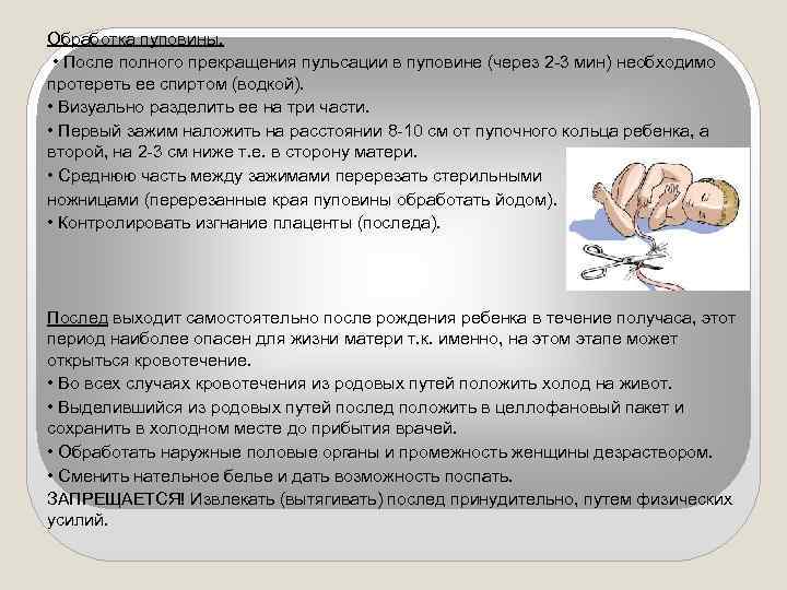 Обработка пуповины. • После полного прекращения пульсации в пуповине (через 2 -3 мин) необходимо