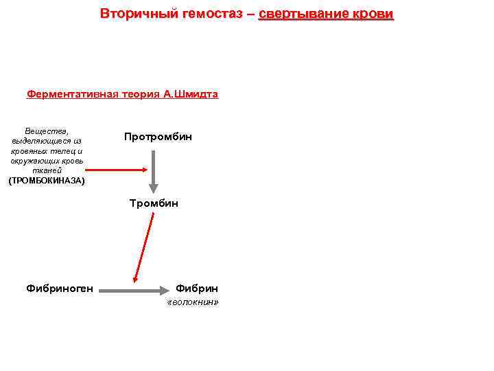 Вторичный гемостаз – свертывание крови Ферментативная теория А. Шмидта Вещества, выделяющиеся из кровяных телец