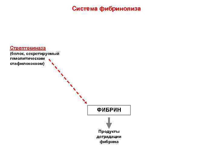 Система фибринолиза Стрептокиназа (белок, секретируемый гемолитическим стафилококком) ФИБРИН Продукты деградации фибрина 