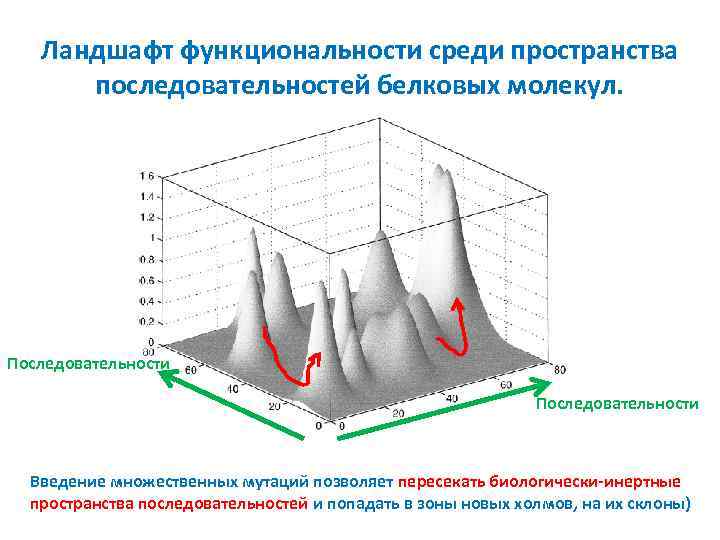 Ландшафт функциональности среди пространства последовательностей белковых молекул. Последовательности Введение множественных мутаций позволяет пересекать биологически-инертные