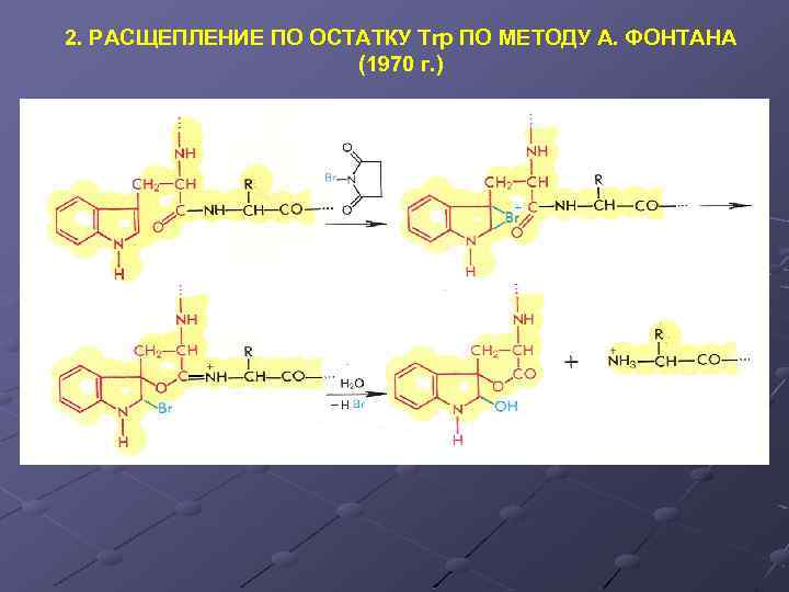 2. РАСЩЕПЛЕНИЕ ПО ОСТАТКУ Trp ПО МЕТОДУ А. ФОНТАНА (1970 г. ) 