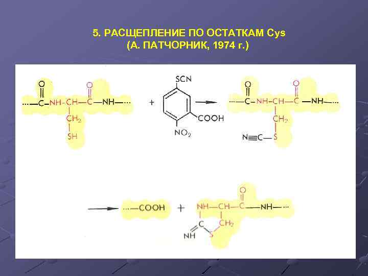 5. РАСЩЕПЛЕНИЕ ПО ОСТАТКАМ Cys (А. ПАТЧОРНИК, 1974 г. ) 