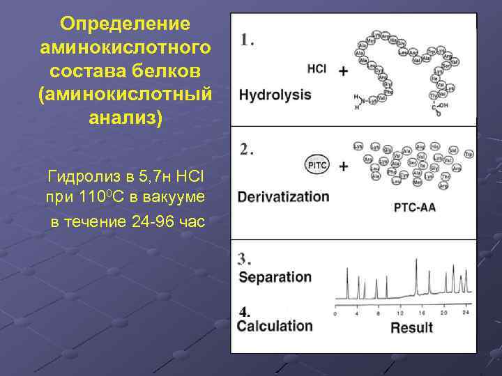 Определение аминокислотного состава белков (аминокислотный анализ) Гидролиз в 5, 7 н HCl при 1100