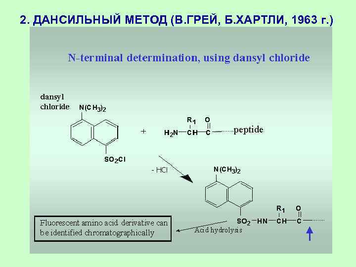 2. ДАНСИЛЬНЫЙ МЕТОД (В. ГРЕЙ, Б. ХАРТЛИ, 1963 г. ) 