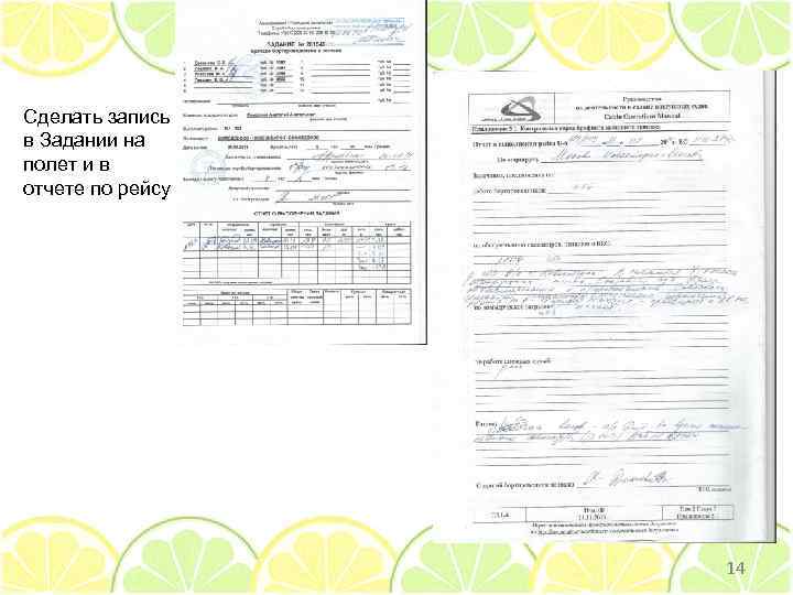 Сделать запись в Задании на полет и в отчете по рейсу 14 