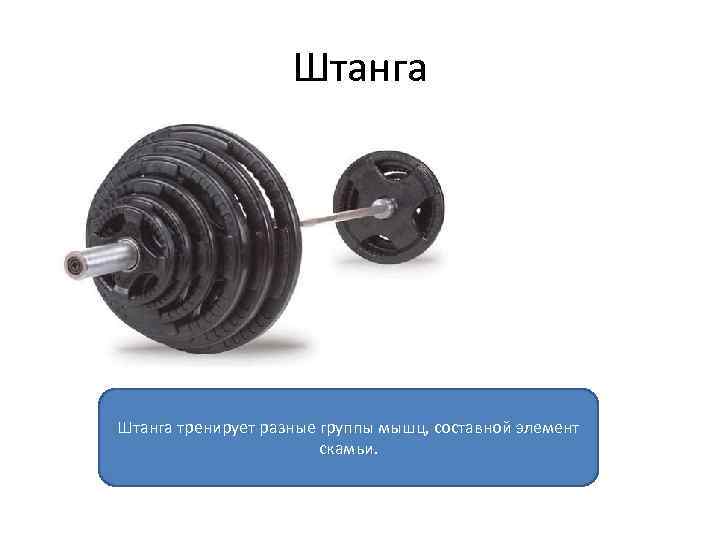 Штанга тренирует разные группы мышц, составной элемент скамьи. 