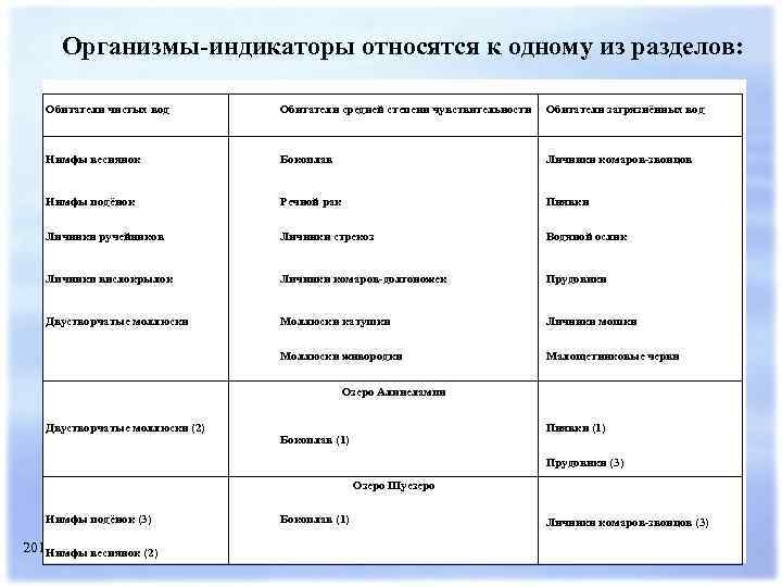 Животный индикатор. Организмы индикаторы. Организмы индикаторы примеры. Организмы индикаторы чистой воды. Организмы индикаторы качества среды.