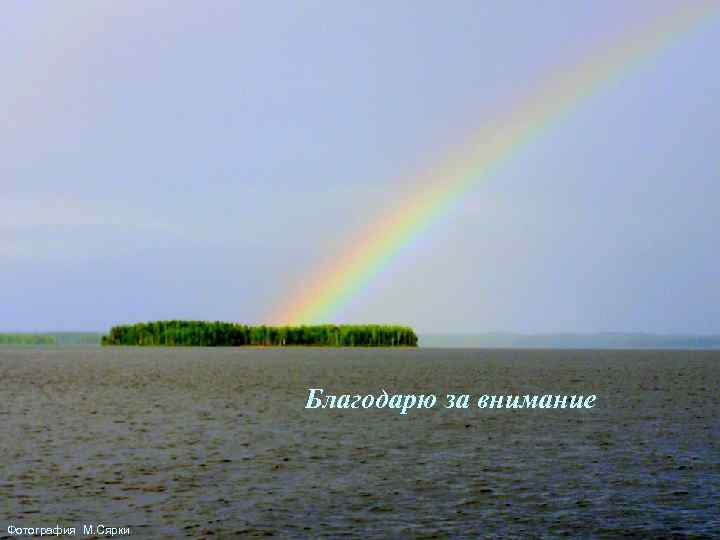 Благодарю за внимание 16 Фотография М. Сярки 