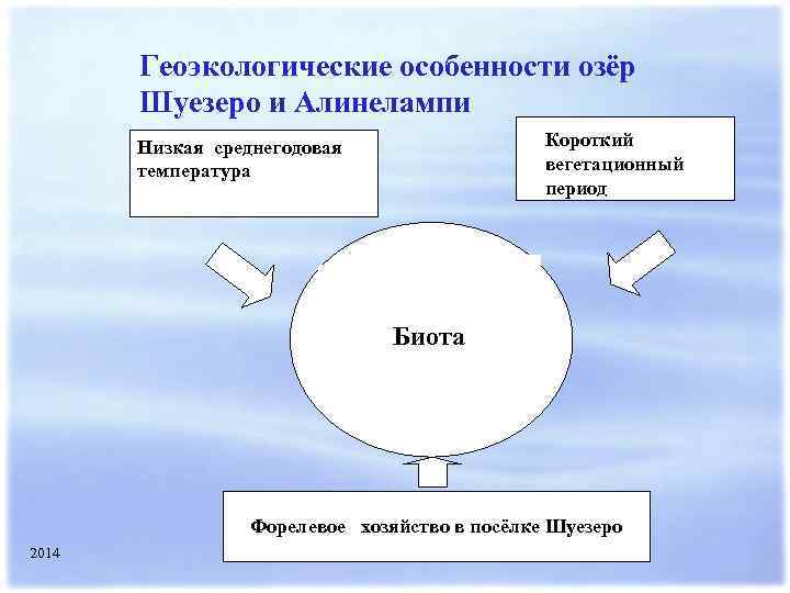 Геоэкологические особенности озёр Шуезеро и Алинелампи Короткий вегетационный период Низкая среднегодовая температура Биота Форелевое