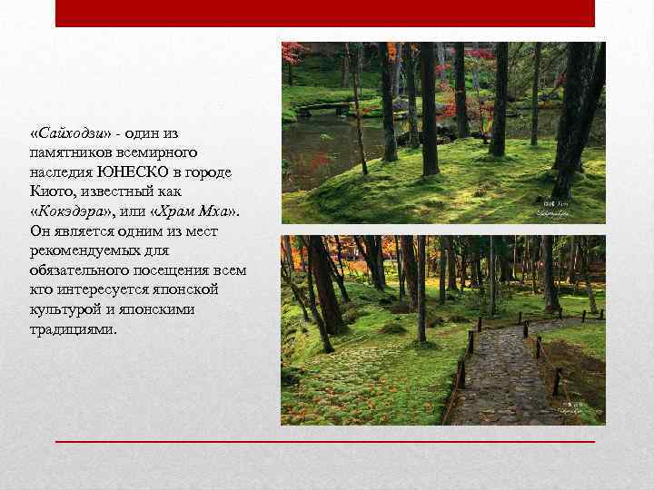  «Сайходзи» - один из памятников всемирного наследия ЮНЕСКО в городе Киото, известный как