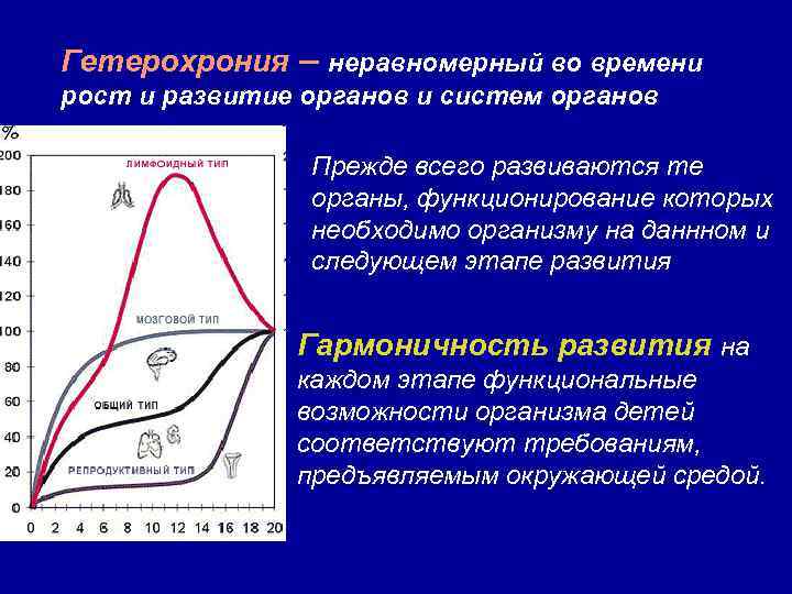 Гетерохрония – неравномерный во времени рост и развитие органов и систем органов Прежде всего