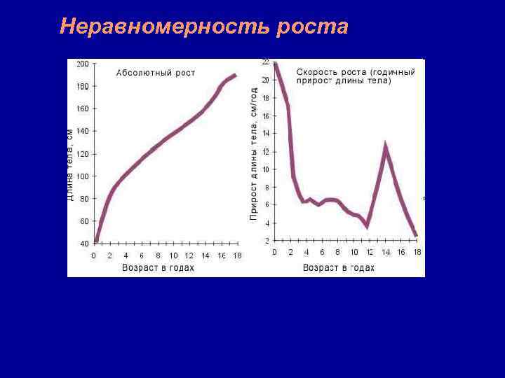Неравномерность роста 