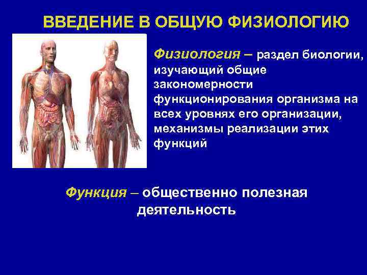 ВВЕДЕНИЕ В ОБЩУЮ ФИЗИОЛОГИЮ Физиология – раздел биологии, изучающий общие закономерности функционирования организма на