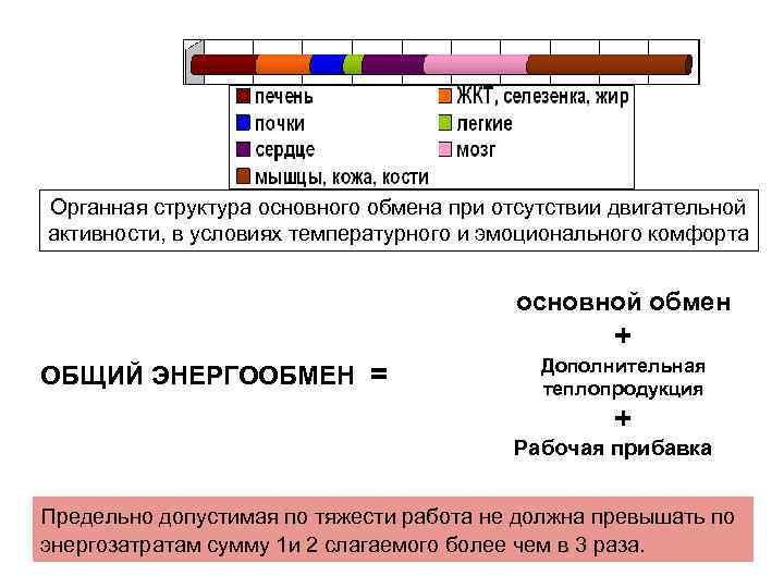 Органная структура основного обмена при отсутствии двигательной активности, в условиях температурного и эмоционального комфорта